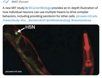 A new MIT study in Current Biology